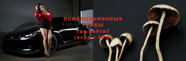 МДПВ Зерноград