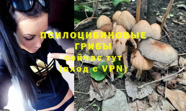 ПСИЛОЦИБИНОВЫЕ ГРИБЫ Зеленокумск