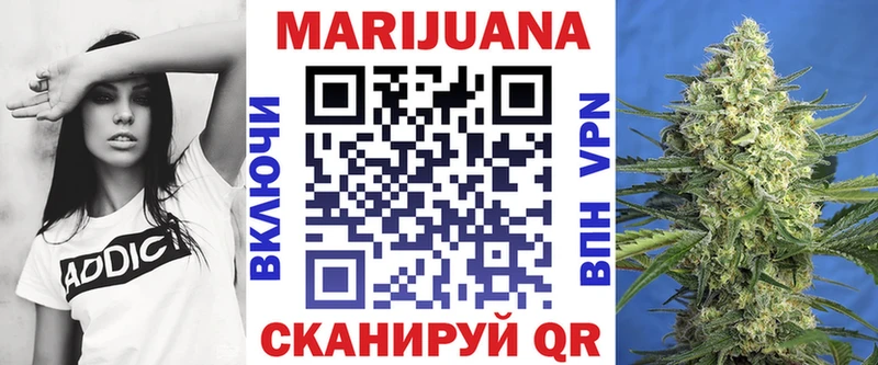 Купить Гурьевск Каннабис сатива
